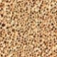 24W Soft Beige