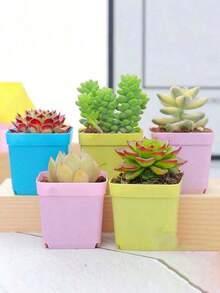 10/20 piezas Macetas cuadradas pequeñas de colores para suculentas con bandeja, macetas de plástico para contenedores de crecimiento de plantas, adecuadas para el hogar, jardín, balcón y oficina - Multicolor - Ver 14