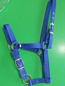 耐磨织带马缰绳、缰绳、马术缰绳、马厩装备、遛马牵引绳、织带缰绳