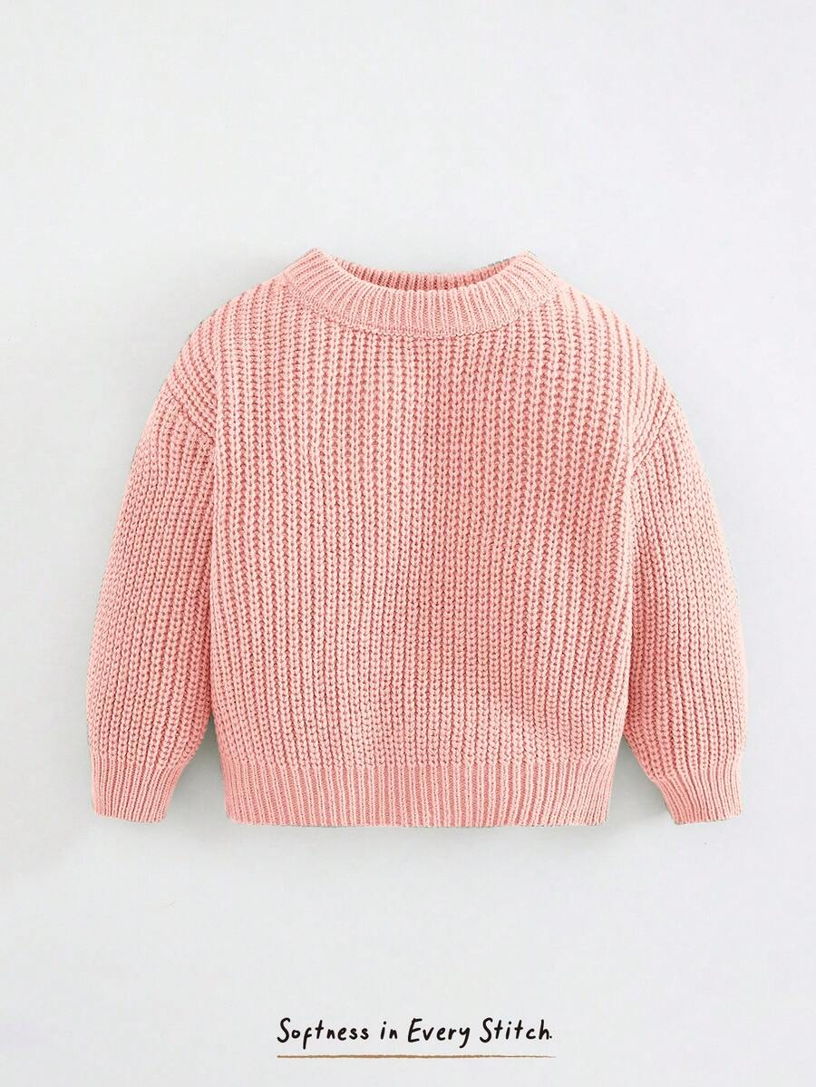 Cozy Pixies Infant Casual Pullover Crew Neck Long Sleeve Sweater - Baby Pink - View 1