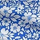 Blue and White