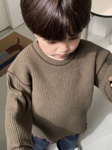 DAZY 男婴休闲百搭撞色缝线卫衣，秋冬 - 咖啡棕 - 查看 6