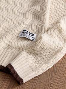 Manfinity VCAY Men's Casual Loose Fit Contrast Color Round Neck Long Sleeve Sweater, Versatile For Autumn/Winter - Apricot - View 5