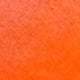 Burnt Orange