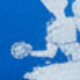 azul real