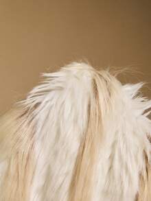 Poéselle Ivory Ombre Faux Fur Halter Crop Top - Winter Party Statement Vest For Women, Holiday Glam Look,Women's Fashionable Beige Plush Halter Backless Camisole - Apricot - View 9