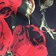 彩色