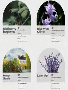 3支/盒创意沙杯蜡烛盒，香氛蜡烛，采用天然大豆蜡制成，多种香型可供选择。纯天然植物香氛，花果香调，适合送给女朋友、作为礼物、母亲节礼物。