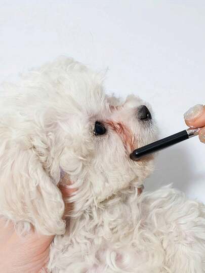 1pc Easy-To-Clean Pet Eye Brush, Clean Face Comb + Clean Face Scissors, Remove Tear Marks, Scabs And Mucus, Comb Hair, Suitable For Small Cats And Dogs