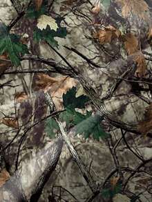 2pcs/Set Young Boy Leaf & Camouflage Print Hoodie Sweatshirt And Pants Outfit, Casual Sports Streetwear, Suitable For Autumn/Winter