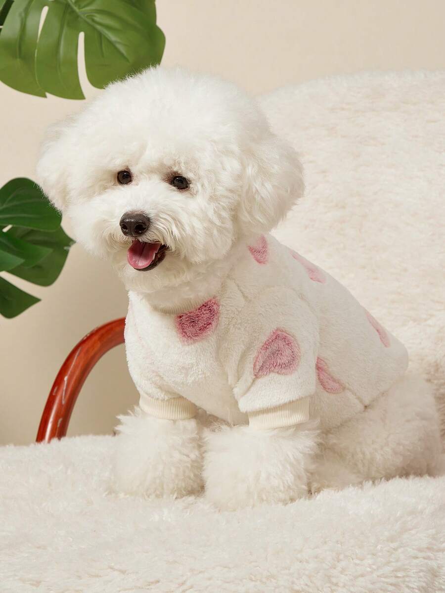 PETSIN Heart Pattern Plush Cute Warm Sweatshirt, Autumn/Winter