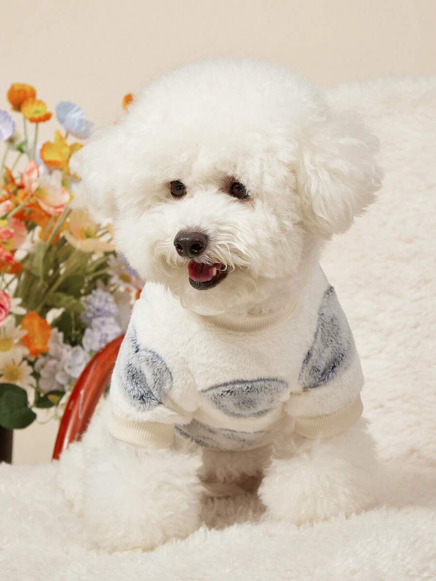 PETSIN 1件宠物猫狗通用杏底蓝色爱心时尚图案印花毛绒保暖弹力舒适狗狗圆领 - 彩色 - 查看 1