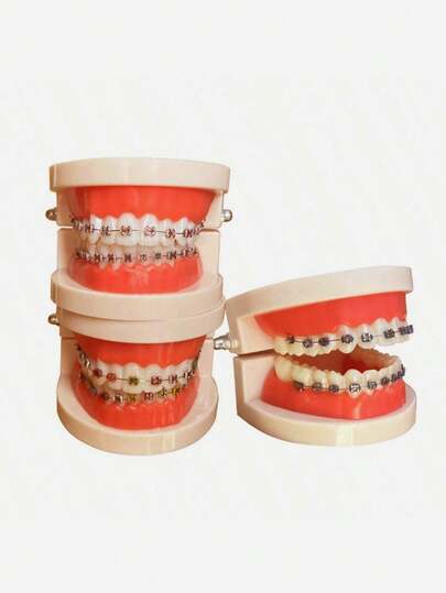 Oral Metal Bracket Model, Clinic Patient Communication Display Dental Model, Dental Teeth Bracket Model