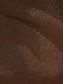 DAZY 女士纯色宽松休闲运动衫 - 棕色 - 查看 6