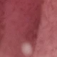 الأسود