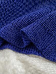 SHEIN Genkimix Kids 女童纯色简约日常圆领长袖针织毛衣 蓝色毛衣 女童秋冬服装 藏蓝色毛衣 女童蓝色上衣 宝蓝色上衣 女童可爱毛衣 秋冬服装 女童毛衣 秋冬服装 毛衣 秋冬儿童毛衣 女童套头衫 女童针织毛衣 秋冬服装 女童服装 女童针织毛衣 女童秋冬服装 春秋季可爱服装 - 藍色 - 查看 8