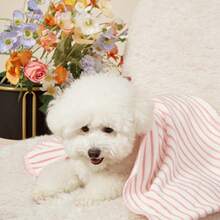 PETSIN 1 Pet Cat Dog Universal Pink Striped Cute Pattern Printed Plush All Season Universal Dog Blanket - Multicolor - View 5