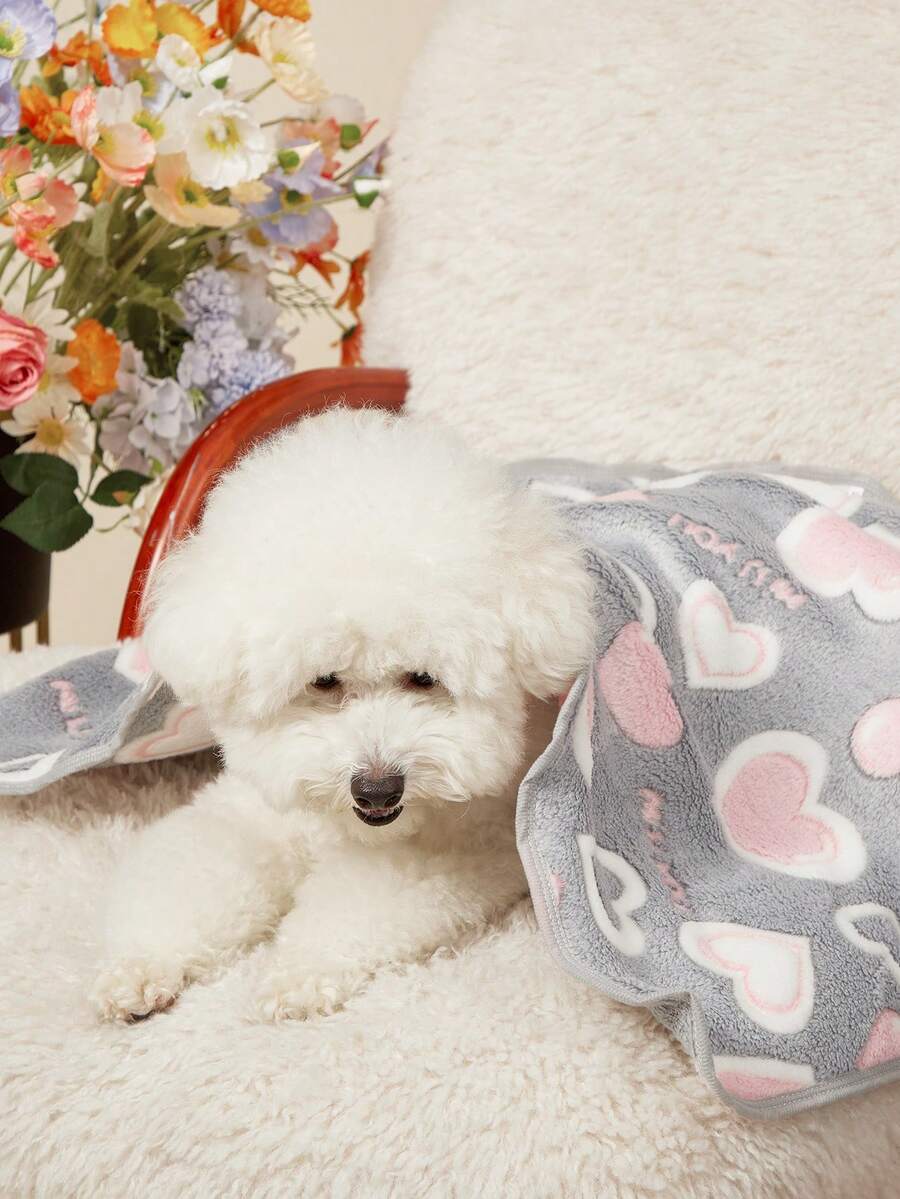 PETSIN 1 Selimut Anjing Universal Motif Lucu Berwarna Lembut untuk Semua Musim - Grey - View 1