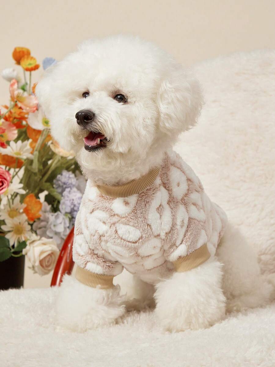 PETSIN 1件宠物猫狗通用杏色豹纹可爱印花毛绒保暖弹力舒适圆领 - 彩色 - 查看 1