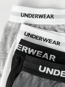 4pcs Men's Everyday Comfortable Letter Waistband Boxer Briefs