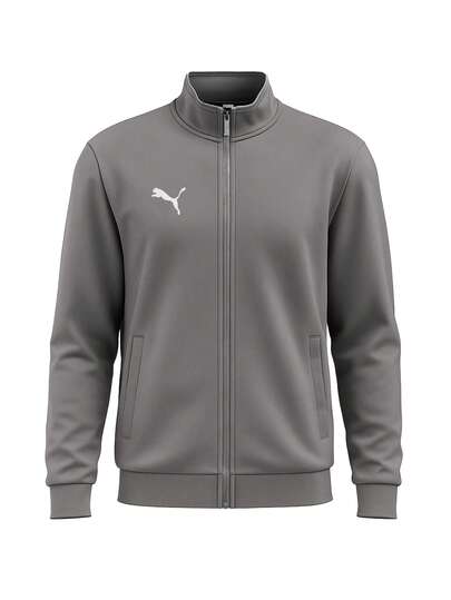 Puma Teamgoal Men's Jacket Grey