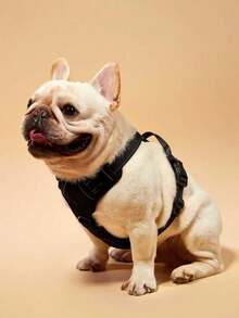 Zazumi Arnés reflectante, correa y chaleco para perros de razas grandes como Bulldog Francés y Labrador - Multicolor - Ver 5