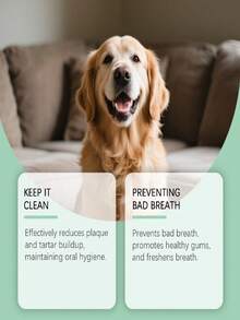 1pc Pet Oral Spray Refreshes Pet Breath, Protects Teeth, Removes Tartar And Yellow Teeth - Multicolor - View 3