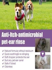 1pc/2pcs Pet Ear Cleaning Solution For Cats And Dogs To Relieve Ear Odor, Clean Earwax And Clean Ear Drops - Multicolor - View 10