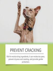 1 Peça Limpador de Patas de Animais de Estimação, Limpa Delicadamente as Patas de Gatos e Cachorros, Sujeira e Patas Pegajosas, Limpo e Confortável - Multicolorido - Visão 4
