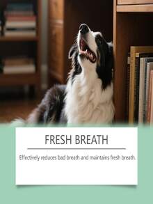 1pc Pet Oral Spray Refreshes Pet Breath, Protects Teeth, Removes Tartar And Yellow Teeth - Multicolor - View 4