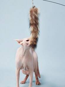 Zazumi 1支互动逗猫棒，硅胶手柄，可伸缩钓竿式玩具，带真狐狸毛尾巴，条纹图案，无需电池 - 彩色 - 查看 4