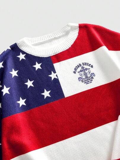 Street Life Men's Flag Print Knitted Crew Neck Long Sleeve Pullover Sweater, Autumn/Winter