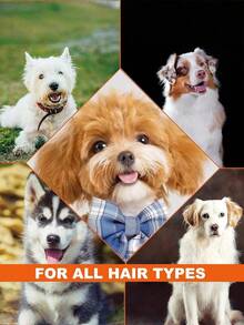 1瓶装四合一宠物洗发护发素，含薰衣草和洋甘菊成分 - 深层清洁滋养，轻松梳理并滋润宠物毛发 - 适用于所有宠物毛发类型 - 彩色 - 查看 6