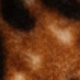 Màu vàng
