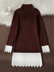 Sparklyn Teen Girls' Fashionable Casual Colorblock Long Sleeve Sweater Dress, Autumn/Winter - Coffee Brown - View 2