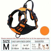 Zazumi Arnés reflectante, correa y chaleco para perros de razas grandes como Bulldog Francés y Labrador - Multicolor - Ver 36