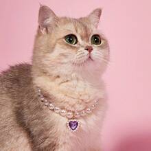 PETSIN 1. 优雅女士心形宠物珍珠项链，小猫项圈，小狗心形水晶吊坠，泰迪熊颈部装饰饰品，适合猫咪佩戴 - 彩色 - 查看 12