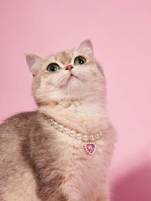 PETSIN 1. 优雅女士心形宠物珍珠项链，小猫项圈，小狗心形水晶吊坠，泰迪熊颈部装饰饰品，适合猫咪佩戴 - 彩色 - 查看 6