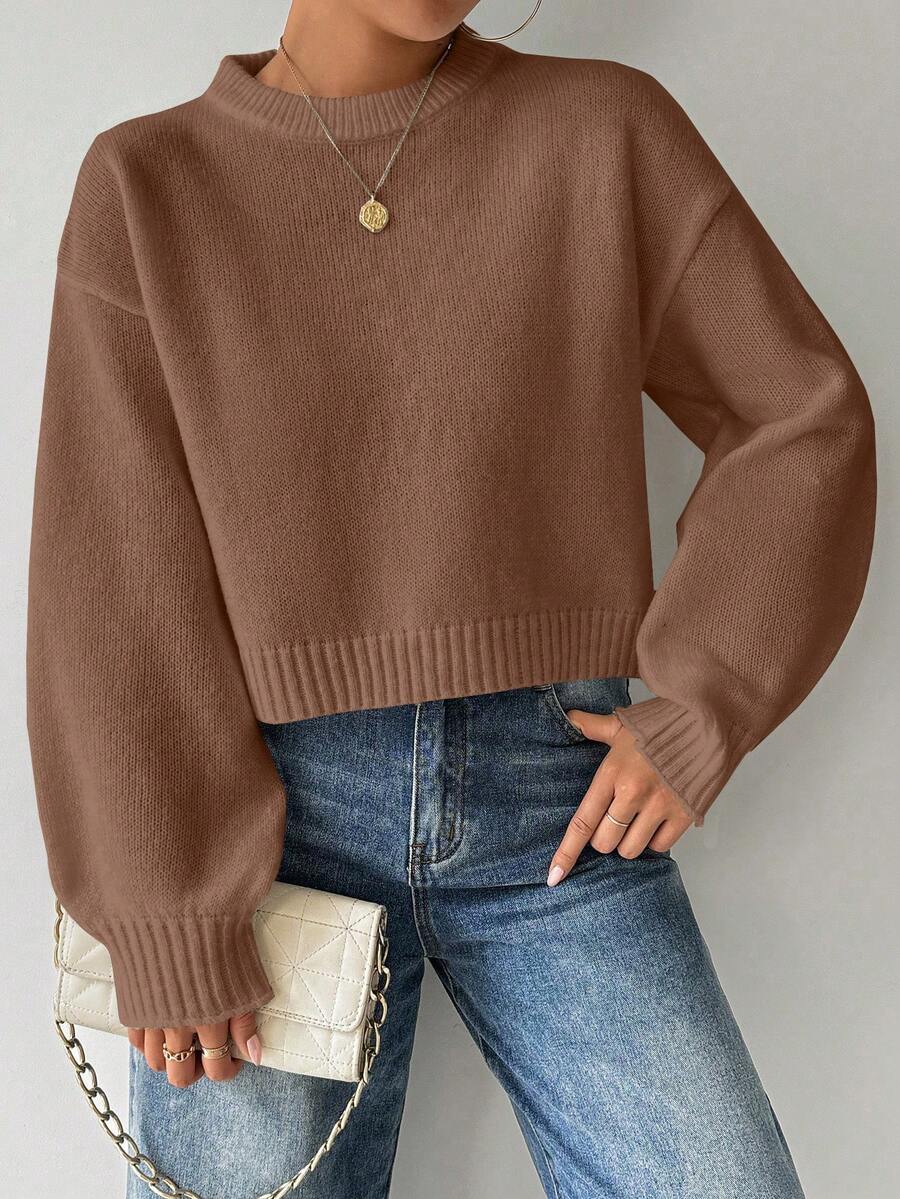 SHEIN LUNE 女式纯色简约休闲圆领长袖白色毛衣 - 粉色 - 查看 1