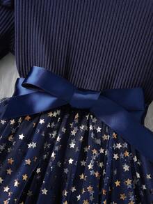 SHEIN Young Girl' Long Sleeve Knitted Tulle Star Mesh Princess Dress - Royal Blue - View 8