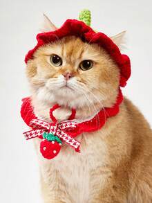 PETSIN 一套红色草莓休闲宠物配饰套装，时尚针织帽，秋冬季手工编织加厚保暖猫狗角色扮演帽，节日颈部装饰配件 - 紅色 - 查看 1