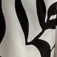 Preto e Branco