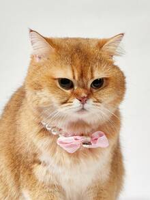 PETSIN 1. 可爱公主风宠物项圈，带蝴蝶结，小型犬项圈带缎带蝴蝶结，猫咪仿珍珠项链 - 彩色 - 查看 2