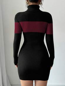 Selianne Color Block Turtleneck Sweater Dress, Fitted & Elegant, Autumn - Red - View 2