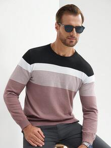 Manfinity Homme Men's Casual Striped Contrast Color Crew Neck Long Sleeve Sweater Jumper For Men Men Shirts Colorblock - Multicolor - View 6