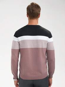 Manfinity Homme Men's Casual Striped Contrast Color Crew Neck Long Sleeve Sweater Jumper For Men Men Shirts Colorblock - Multicolor - View 2