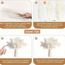 10/15pcs Artificial White Pampas Grass - Non-Shedding Pampas Decoration, Multifunctional For Thanksgiving, New Year, Valentine's Day, Mother's Day - Ideal For Wedding, Shower, Boho Home And Farmhouse Decor,Fall Decor,Autumn