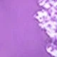 Mauve Purple