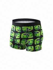 Fantacosmos 4pcs/Pack Cartoon Dinosaur Print Comfortable Soft Boxer Briefs For Teenage Boys