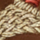 Caqui